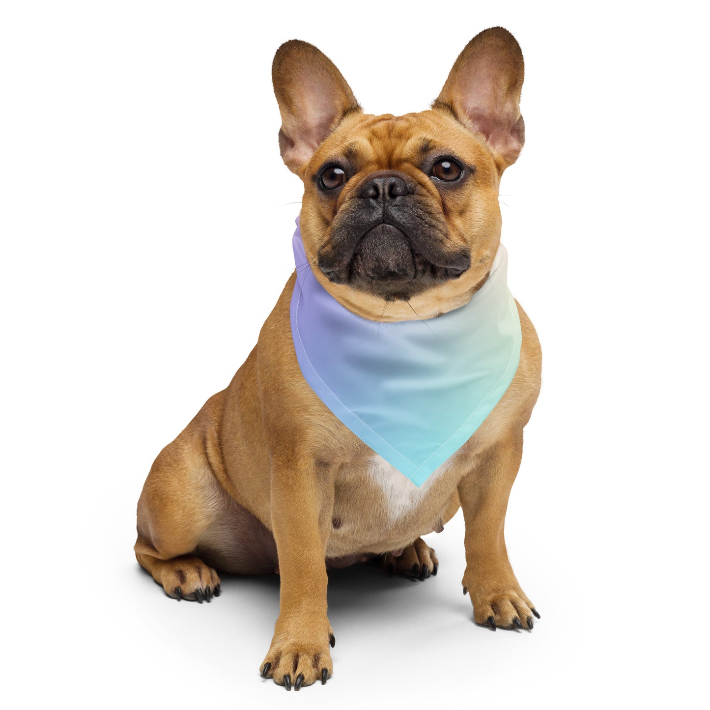 Rainbow Family Bandana