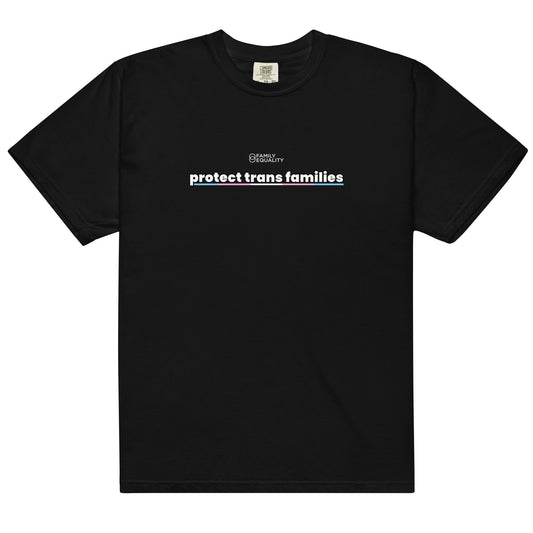 Protect Trans Families Adult Tee